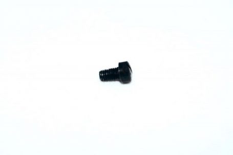 Iver Johnson TP22 Grip Screw