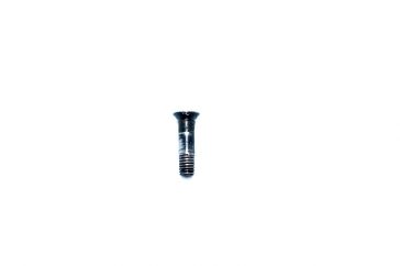 Rohm RG10 .22 Short Revolver Hammer Screw