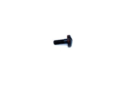 Rohm RG10 .22 Short Revolver Grip Screw