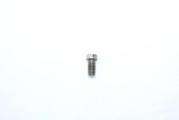 Rossi 88 Side Plate Screw