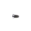 Rossi 88 Rear Sight Lock Screw