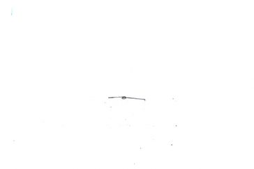 Winchester 1200/1300 12ga Disconnector Spring