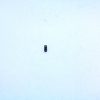 Raven Arms MP25 Trigger Spring