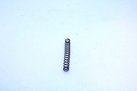 Raven Arms MP25 Recoil Spring