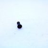 Springfield 1875 22lr Take-down Screw
