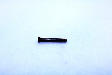 Winchester 1906 Tang Screw