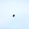 Remington 870 12ga Safety Detent
