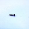 Charles Daly Hawken 50 Cal For-end Cap Screw
