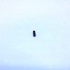 Marlin 336 Hammer Strut Pin