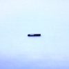 Revelation M2070 12 ga Automatic Shotgun Firing Pin Pin