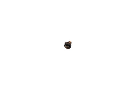 Winchester 1400 12 ga. Trigger Pin Stop Screw