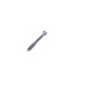 Ted Williams Model 100 Rear Band Screw