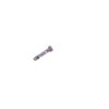 Ted Williams Model 100 Front Band Screw