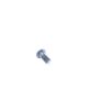 Ted Williams Model 100 Main Spring Screw