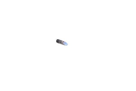 Phoenix Arms HP 25 Rear Plate Screw