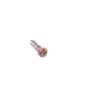 Remington 11-48 12 ga Butt-plate Screw
