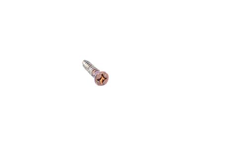 Remington 11-48 12 ga Butt-plate Screw